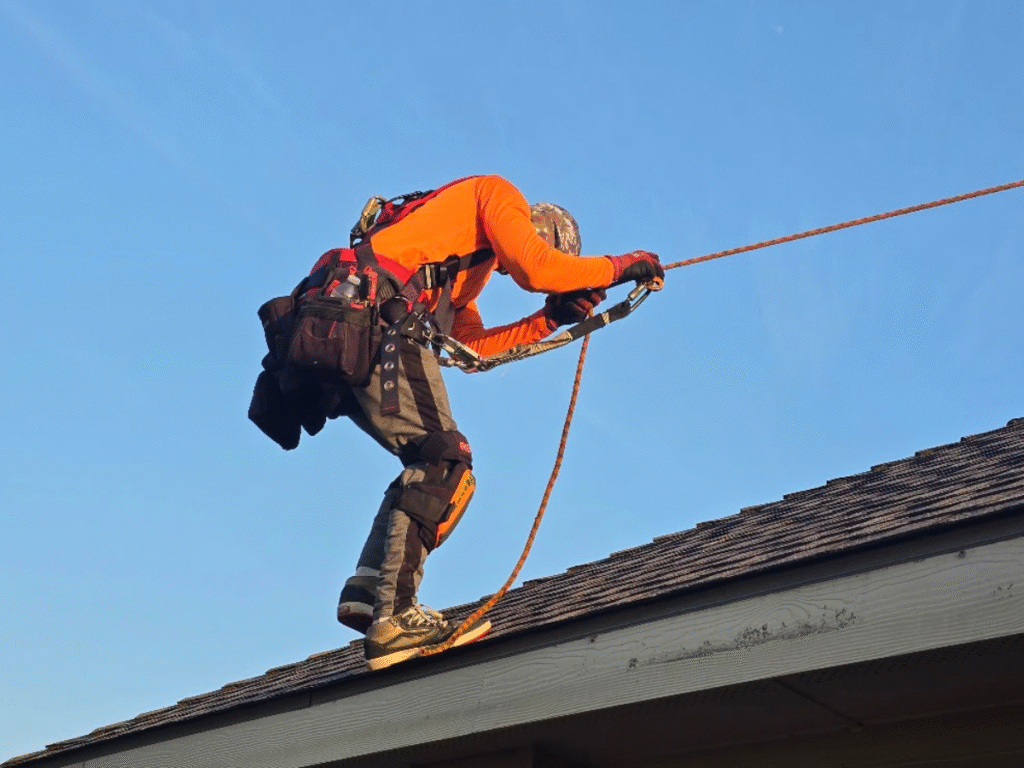 Safe Solar Panel Removal on Rooftops in Texas | Expert Repair Technicians