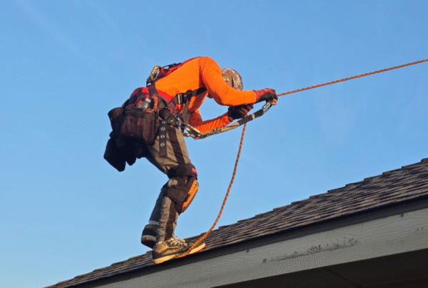 Safe Solar Panel Removal on Rooftops in Texas | Expert Repair Technicians