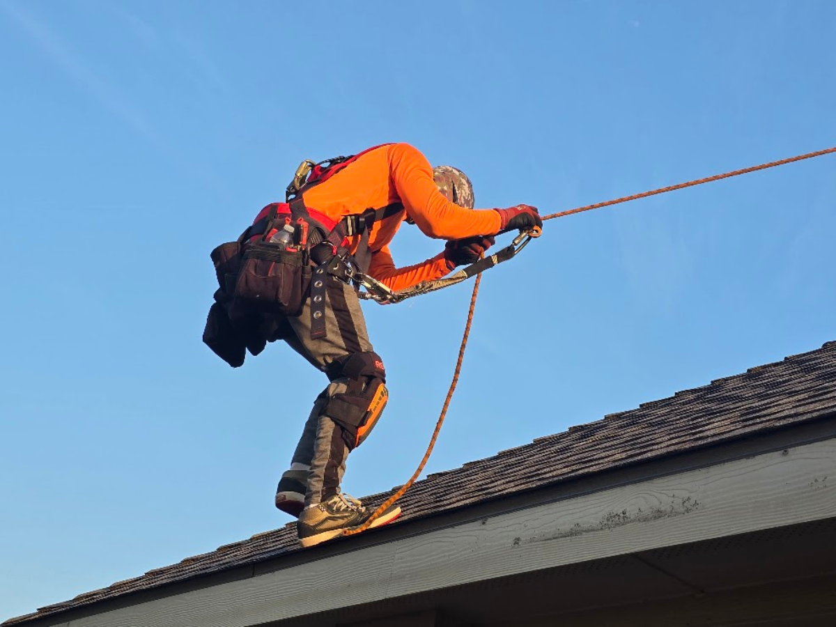 Can Solar Panel Removal Be Done in Winter Texas | Licensed & Insured